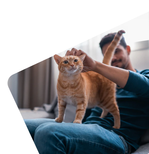 Person sitting on a sofa petting their cat