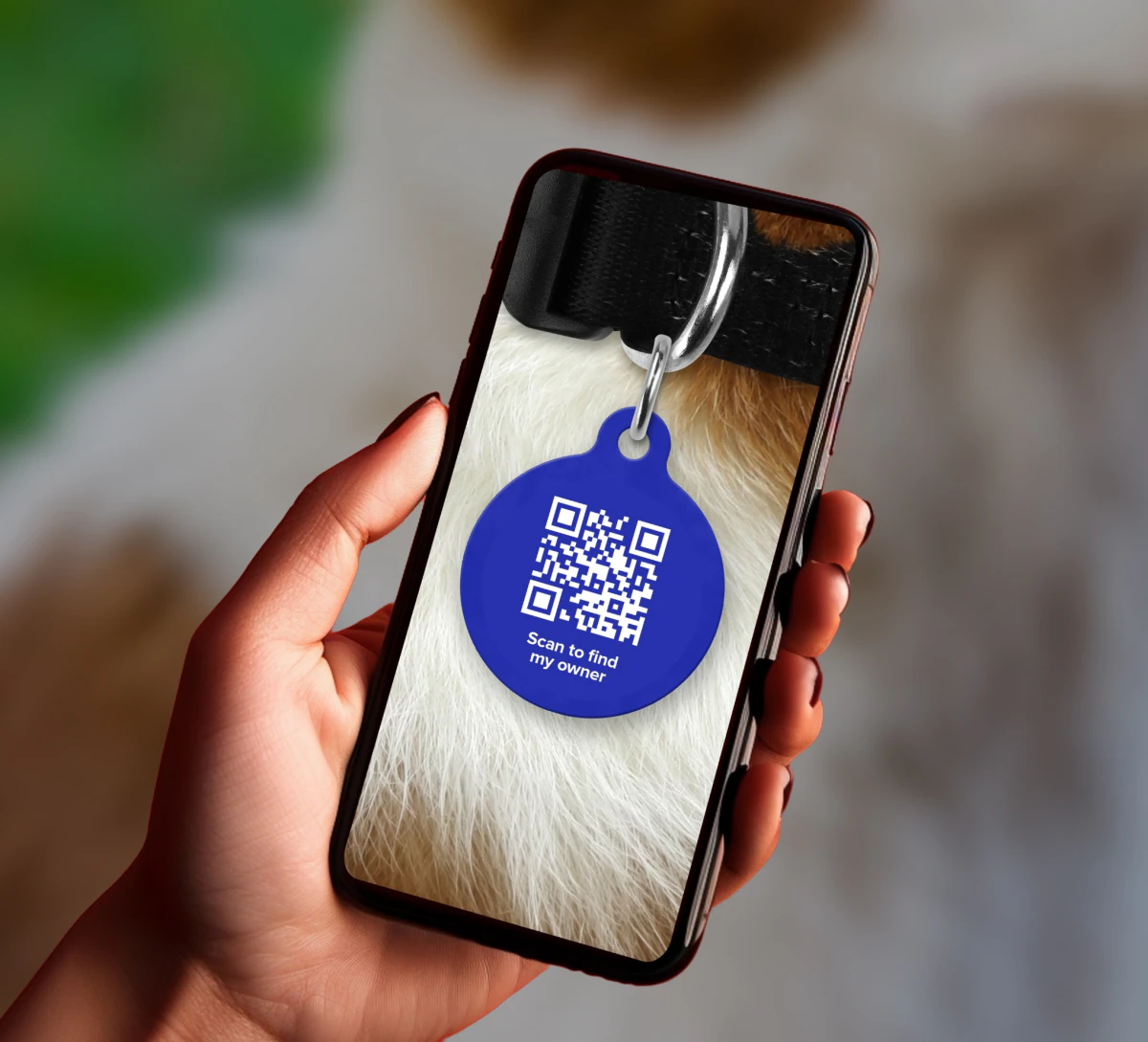 Scanning a pet's smart tag with a phone